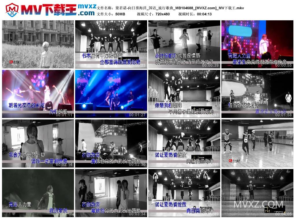 梁君诺-向日葵海洋_国语_流行歌曲_MB104688